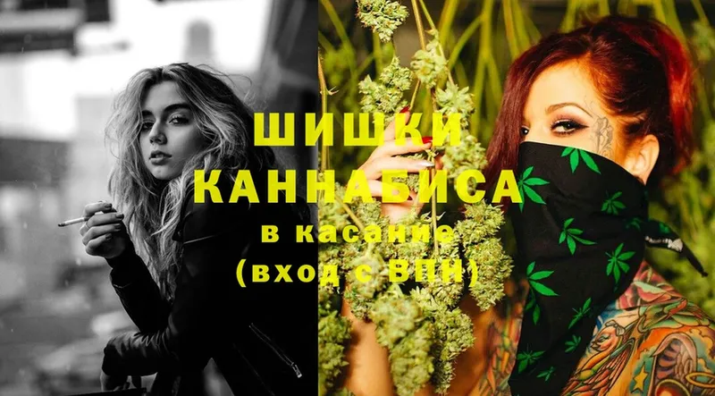 Конопля SATIVA & INDICA  цена   Малая Вишера 